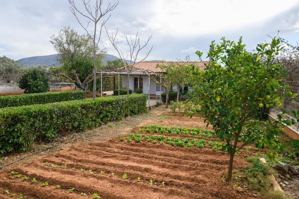 Villa Farmbill Markópoulon Exterior foto